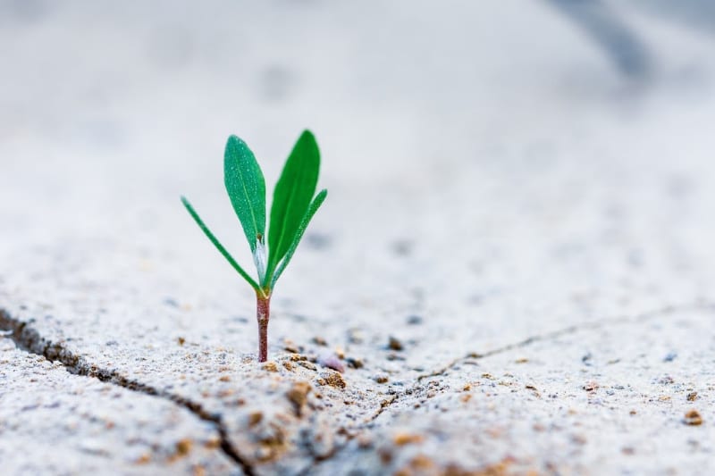 Importance of nurturing leads