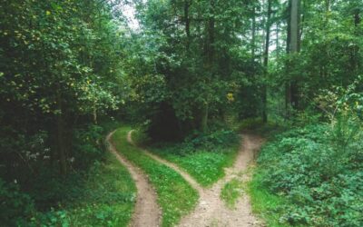 Optimize the Buyer’s Journey with Calls-to-Actions