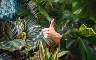 Rise to the Top: How to Rank with Google Reviews