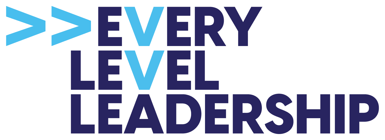 Clients - Every Level Leadership