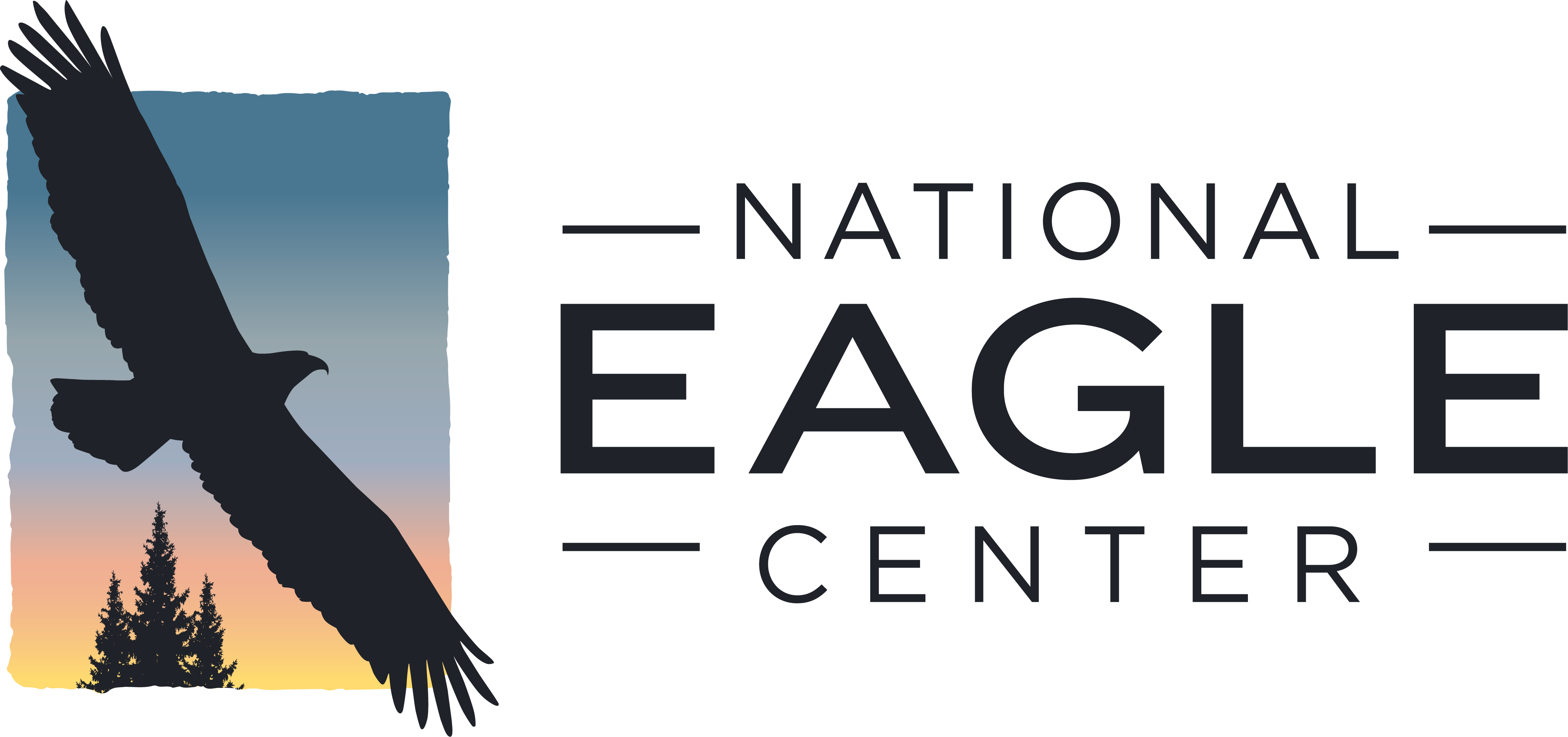 N:ational Eagle