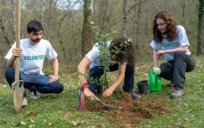 Nonprofit Annual Report: How to Make Your Report Into a Story People Want to Read