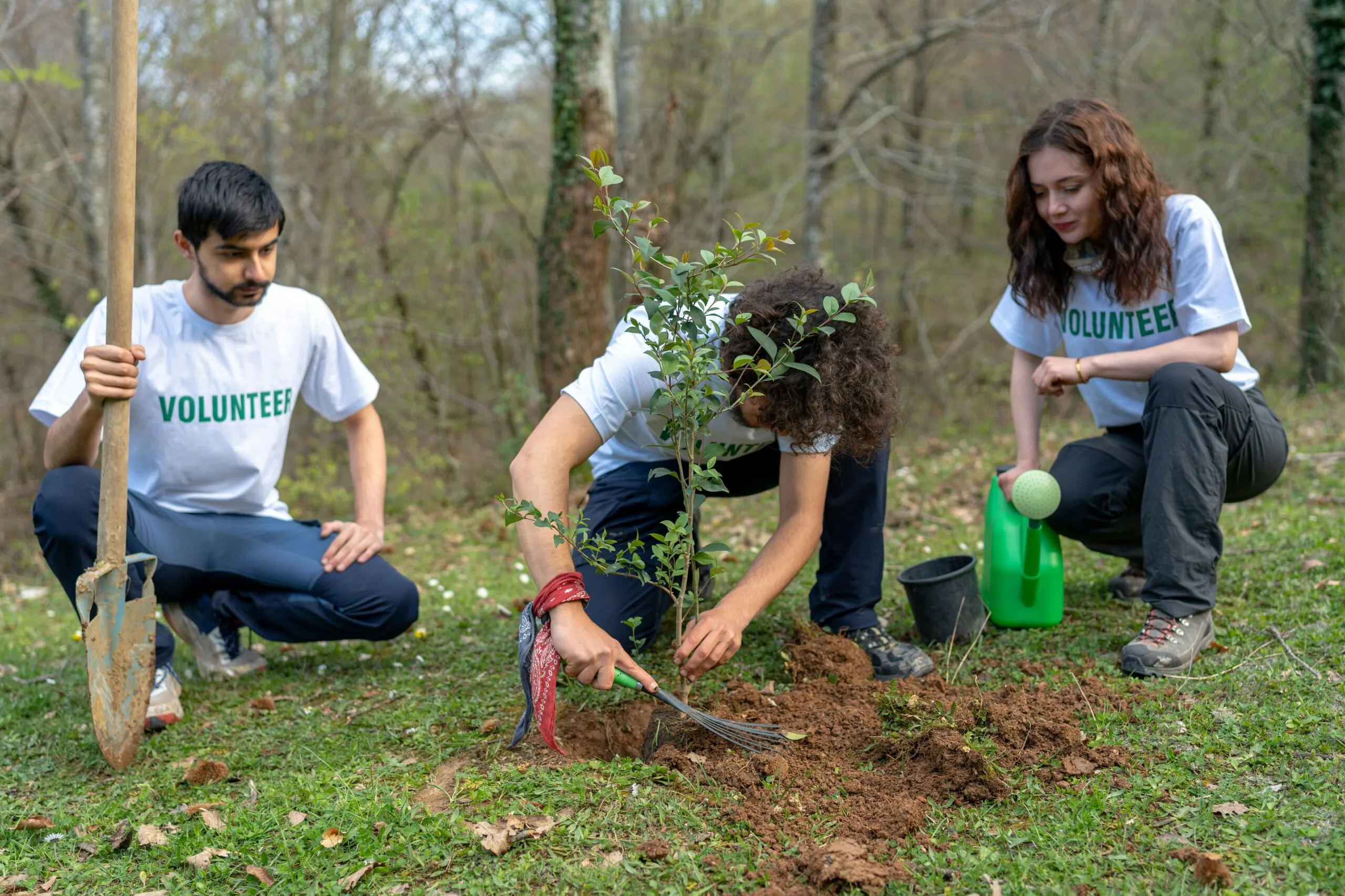 nonprofit annual report